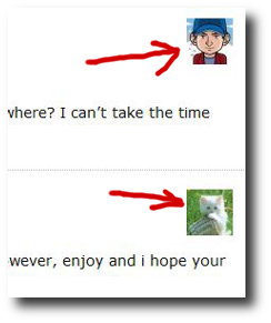 add wordpress profile photo